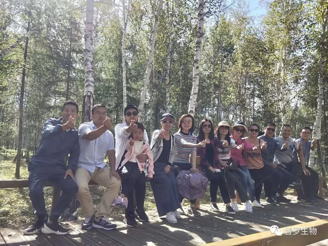 1535424756104021.jpg 1535424756104021.jpg