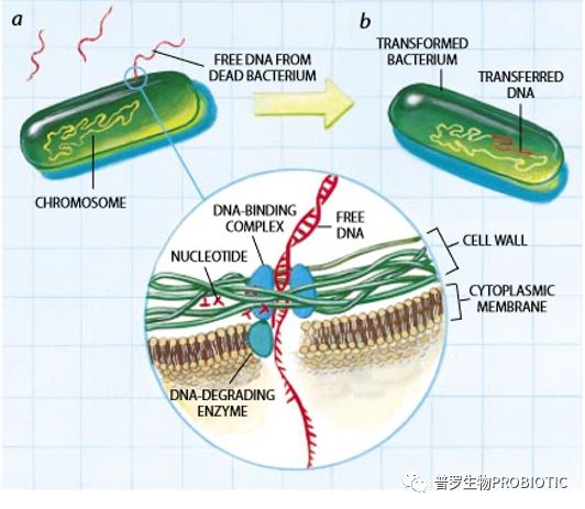 1555896199309417.jpg 6.jpg