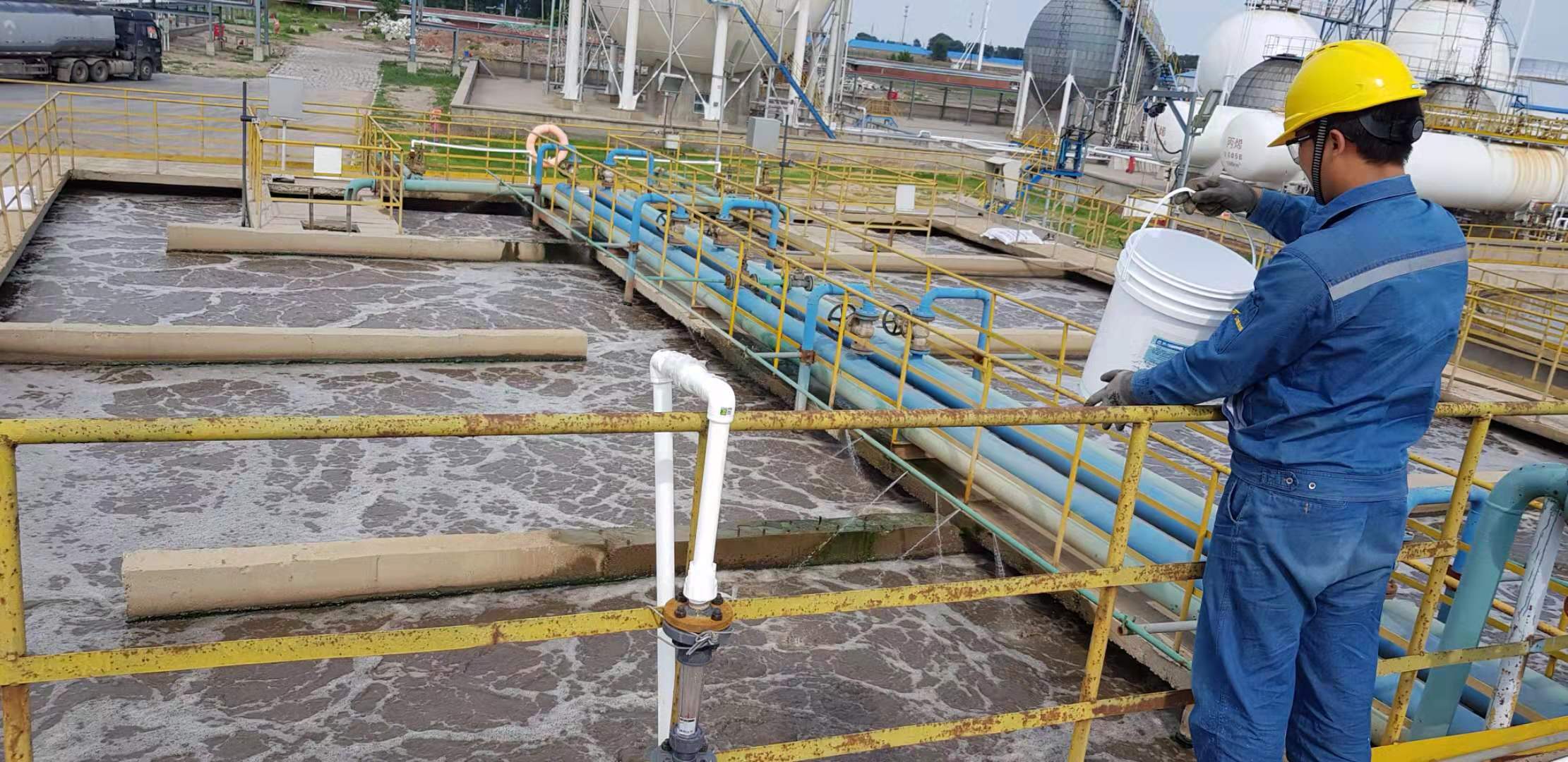 1563160629258306.jpg 1563160629258306.jpg