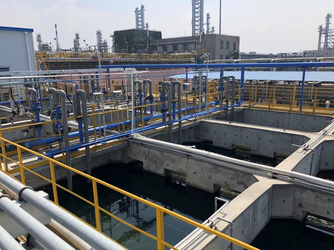 1569390688343484.jpg 1569390688343484.jpg