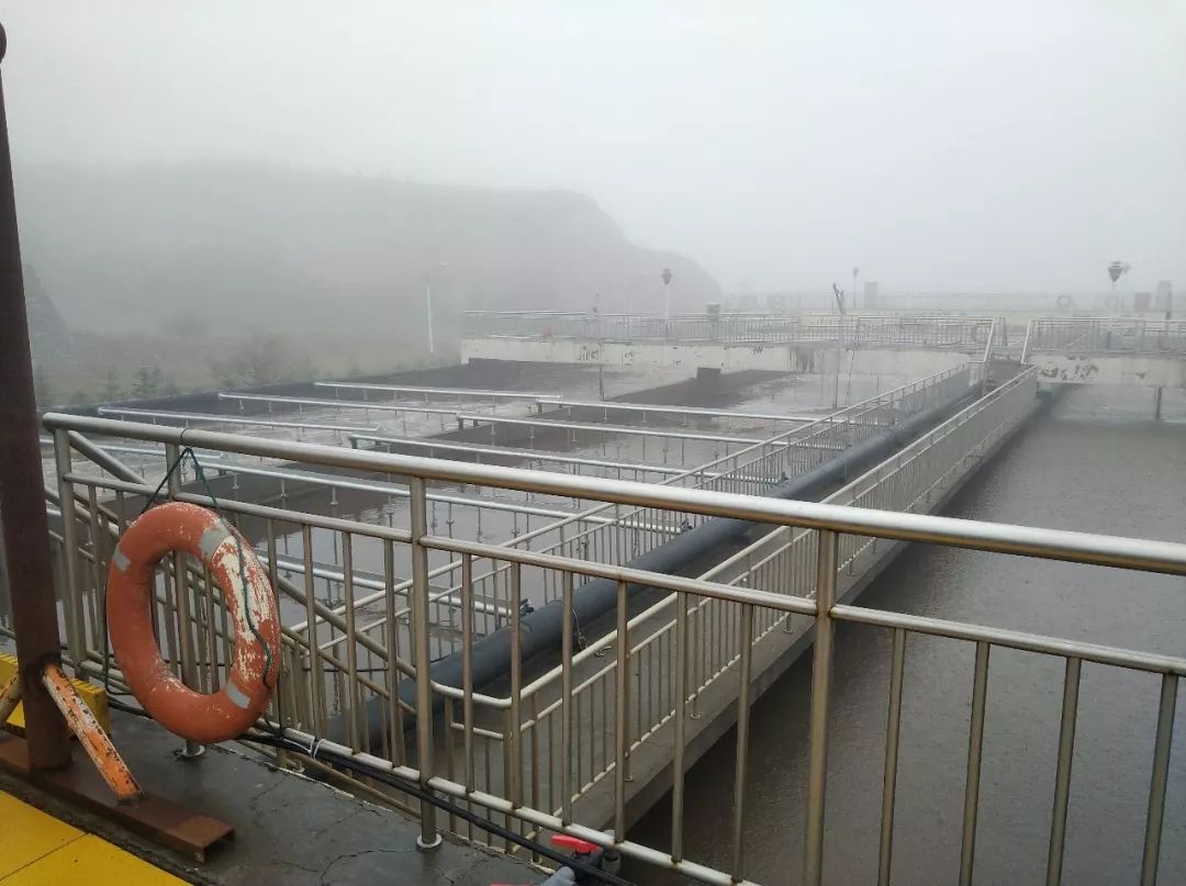 1569390729108596.jpg 1569390729108596.jpg