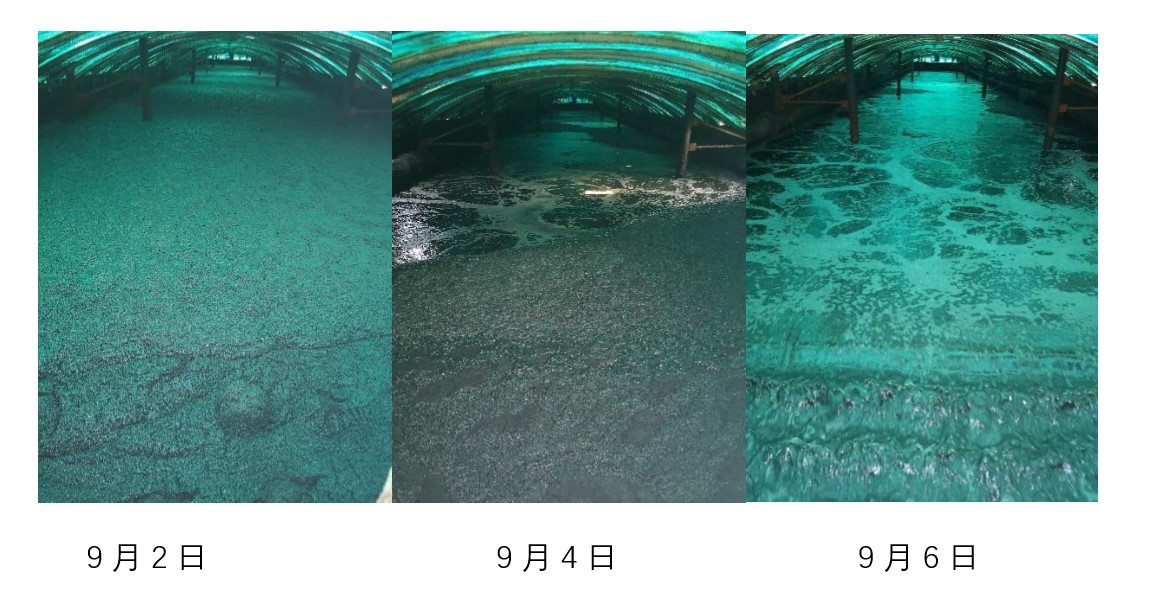 1569392866942317.jpg 1569392866942317.jpg