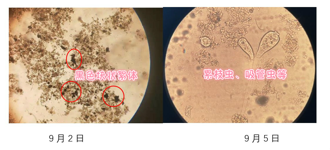 1569393196577790.jpg 1569393196577790.jpg