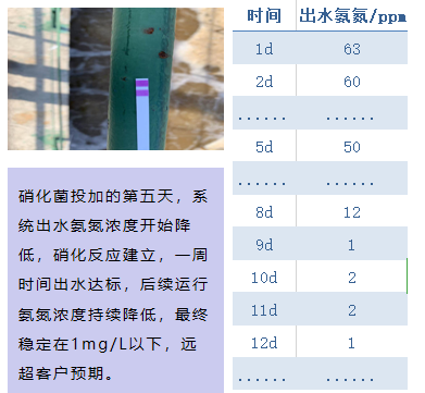 1587018362336615.png 1587018362336615.png