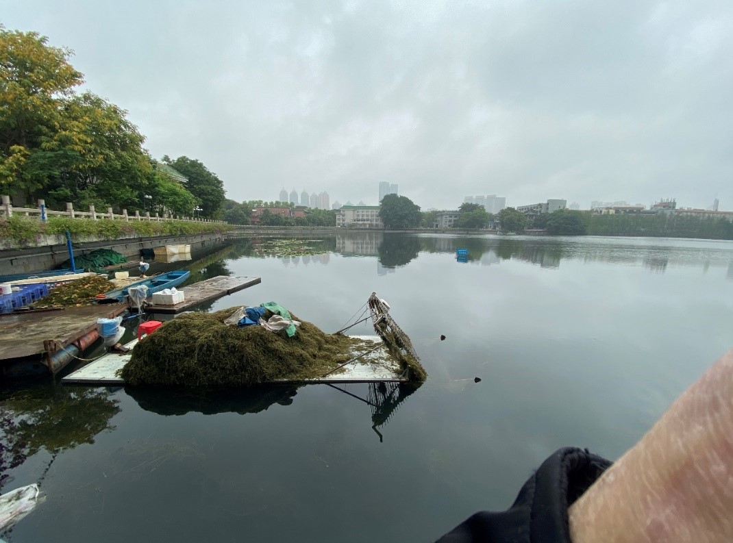 1589262954198472.jpg 1589262954198472.jpg