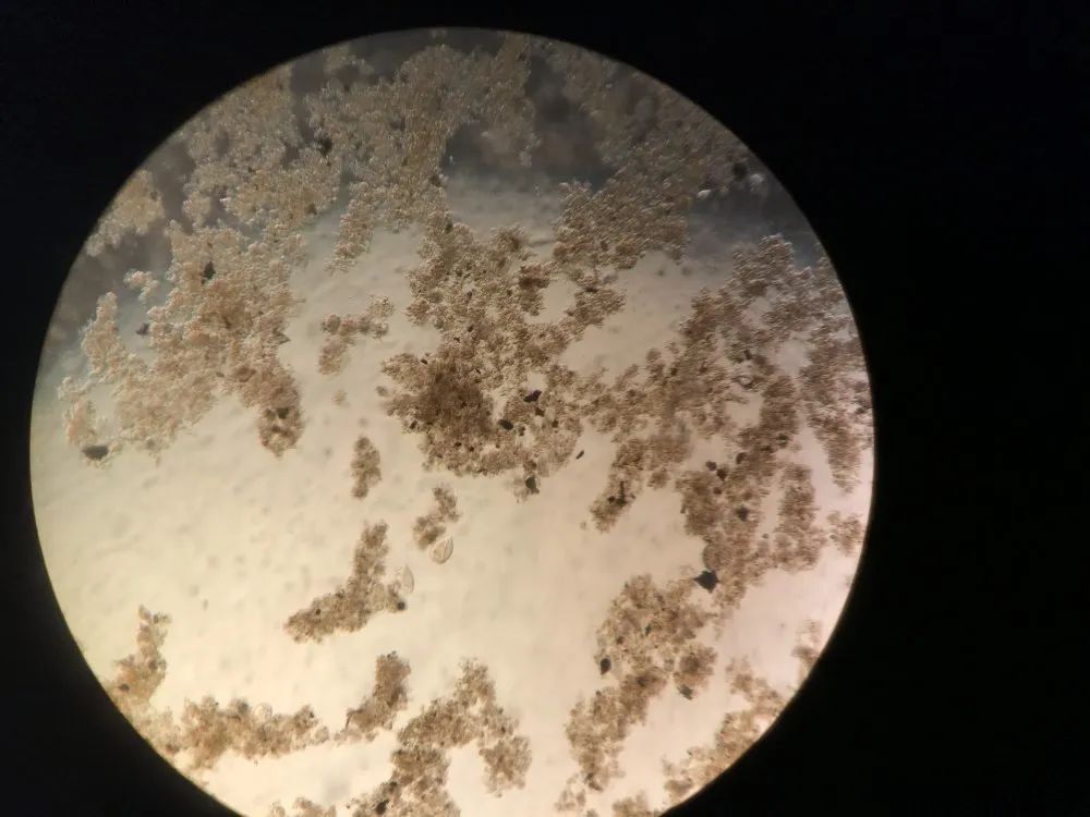 1592461659334154.jpg 1592461659334154.jpg