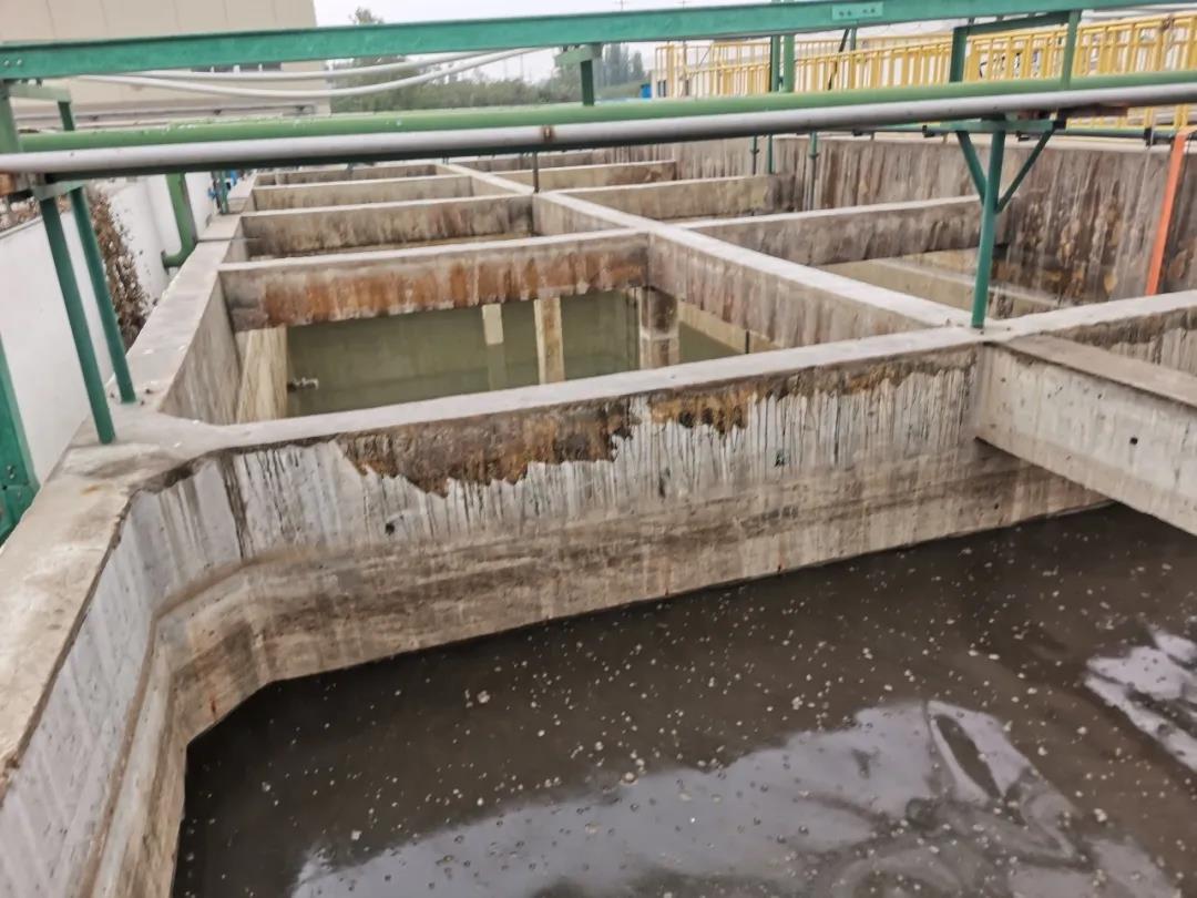 菌種.jpg 菌種.jpg