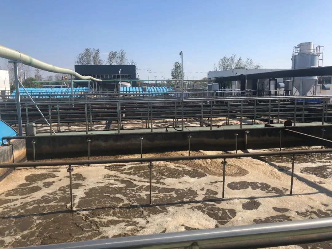 碳源.jpg 碳源.jpg