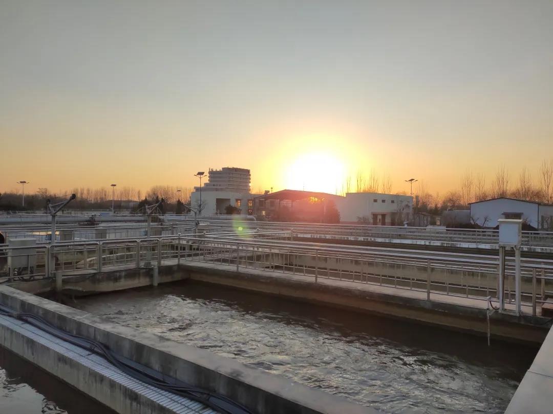 1612321345940680.jpg 1612321345940680.jpg