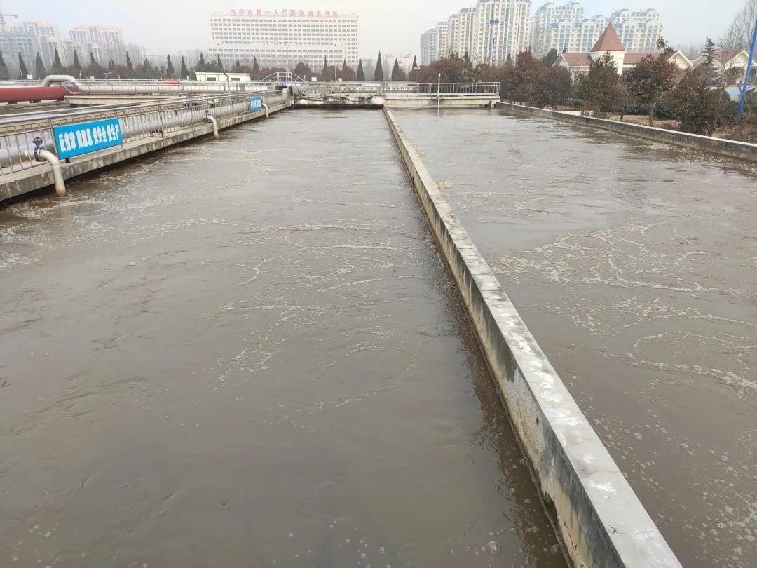 1612321380980044.jpg 1612321380980044.jpg