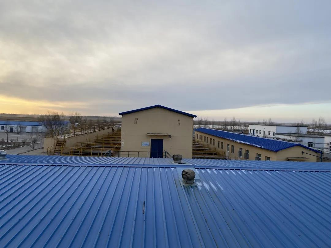 1612321644436700.jpg 1612321644436700.jpg