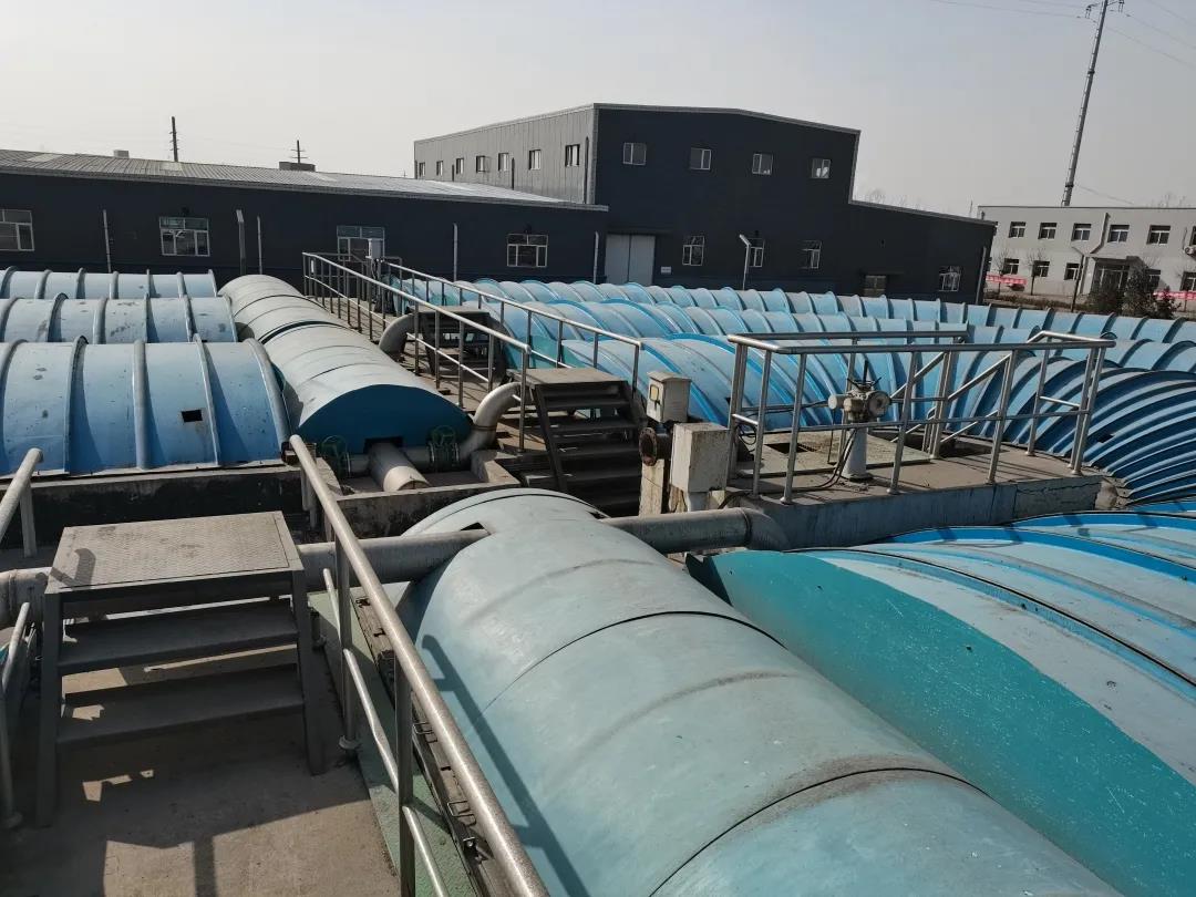 1612321811696045.jpg 1612321811696045.jpg