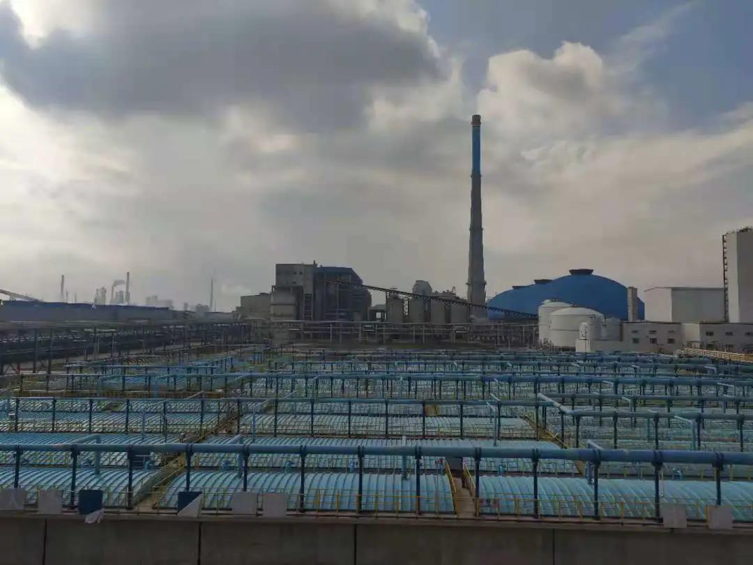 總氮去除 總氮去除