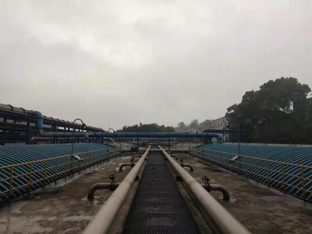 硝化菌種 硝化菌種