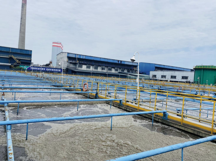 1707211599837589.png 圖片.png